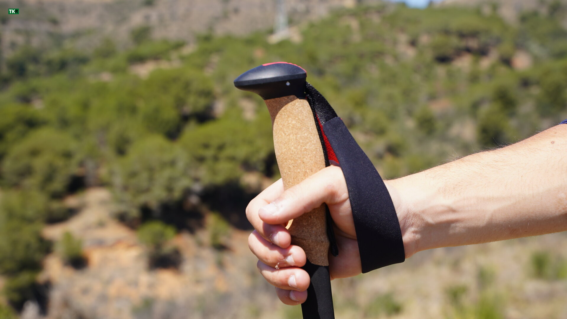 BLACKDIAM Pursuit FLZ Trekking Poles