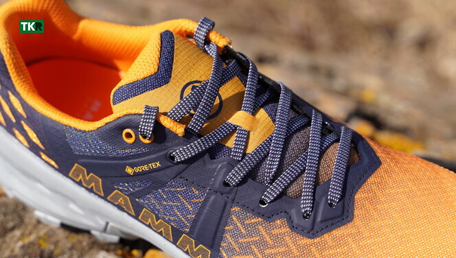 Mammut Sertig II Low GTX