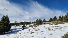 Buena respuesta al frio.