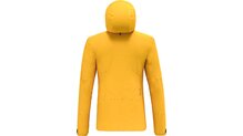 Salewa Ortles GTX Pro Jacket