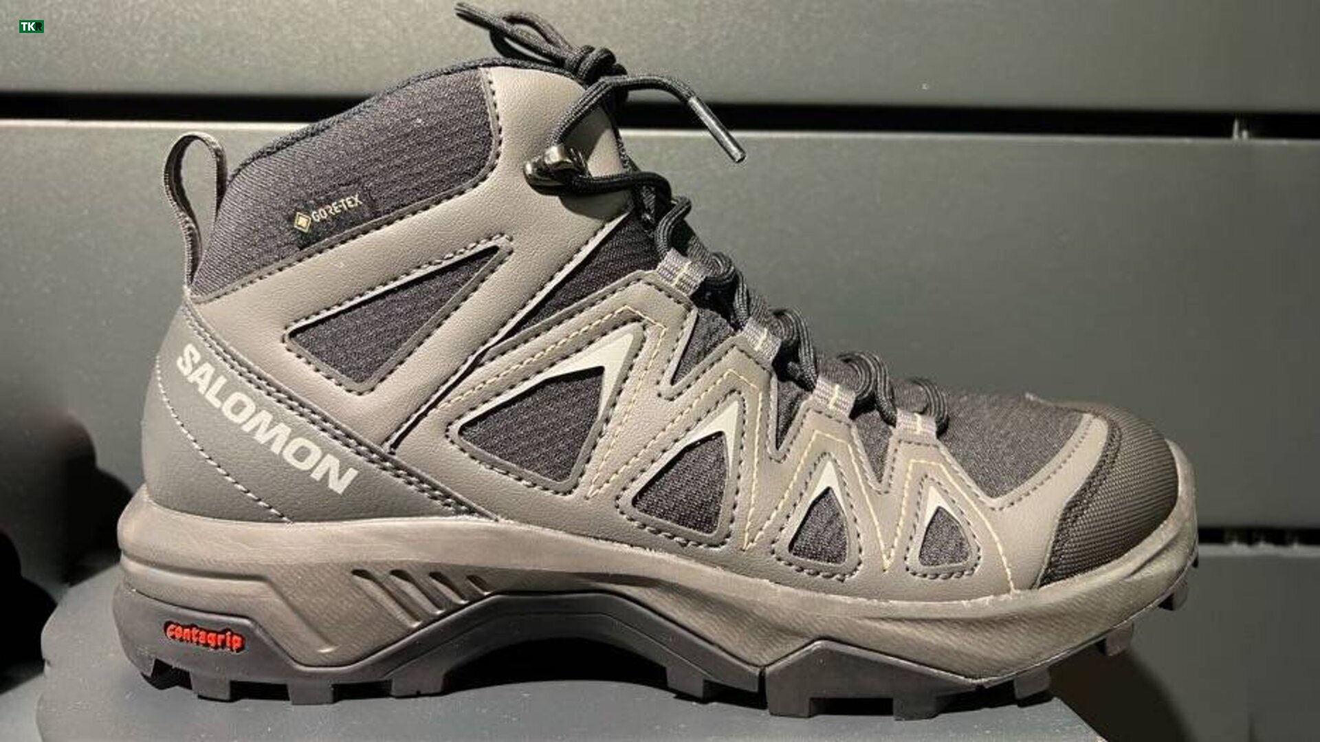 Salomon X Braze GTX, review y opiniones, Desde 80,18 €