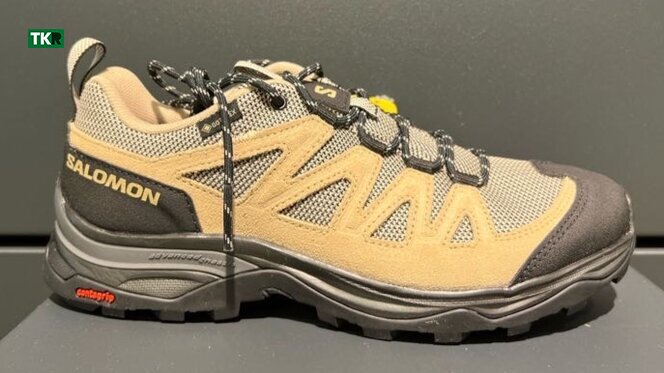 Salomon X Ward Leather GTX W - TREKKINGReview.com