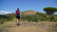 Scarpa Mescalito TRK GTX 