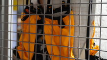The North Face Summit AMK 55