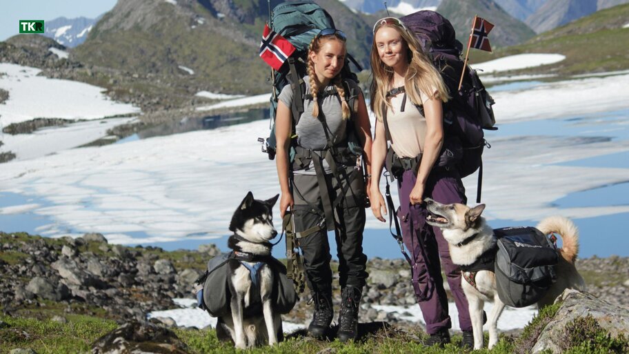 El terreno jugar� un papel muy importante en la salud y la resistencia de nuestro acompa�ante