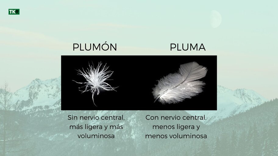 Plum�n VS pluma, ambas de origen animal.
