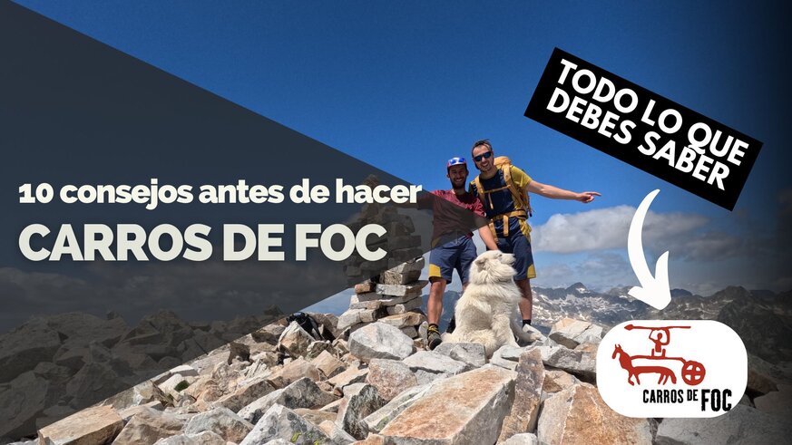 Todo lo que debes saber antes de hacer la CARROS DE FOC Todo lo que debes saber antes de hacer la CARROS DE FOC