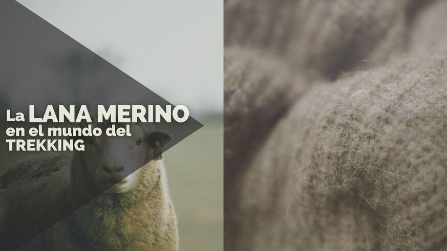 La LANA MERINO en el mundo del Trekking