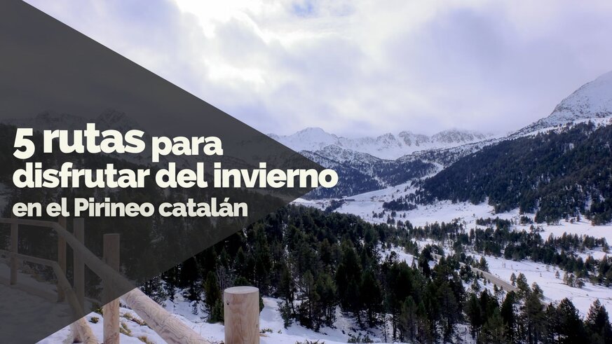 Mejores rutas para disfrutar del invierno en Catalunya