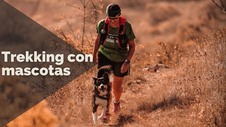 Rutas, consejos y restricciones en nuestros Trekkings con mascotas por España
