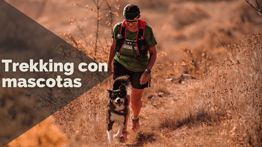 Rutas, consejos y restricciones en nuestros Trekkings con mascotas por Espaa